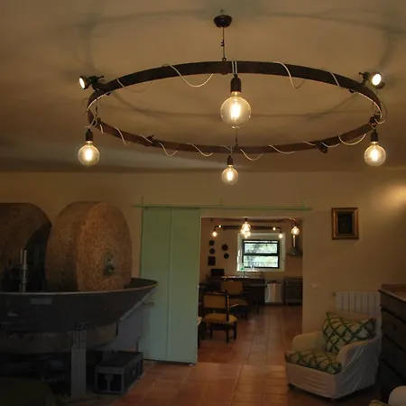 بيت للعطل Il Frantoio, Loft Rurale, Con Bbq E Giardino In Pontifogno *