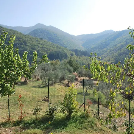 Il Frantoio, Loft Rurale, Con Bbq E Giardino In Pontifogno بيت للعطل ريغلو