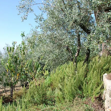 Il Frantoio, Loft Rurale, Con Bbq E Giardino In Pontifogno بيت للعطل ريغلو